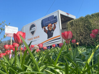 Student Removals Plymouth – Fast & Affordable Moves